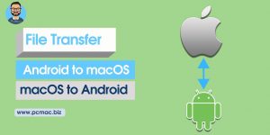 File Transfer Android to macOS
